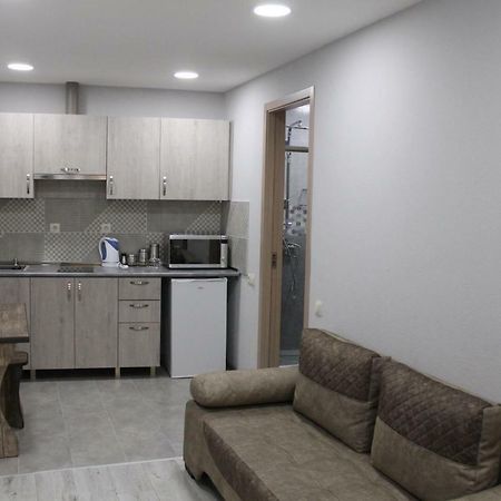 Family Apartament Lejlighed Tbilisi Eksteriør billede