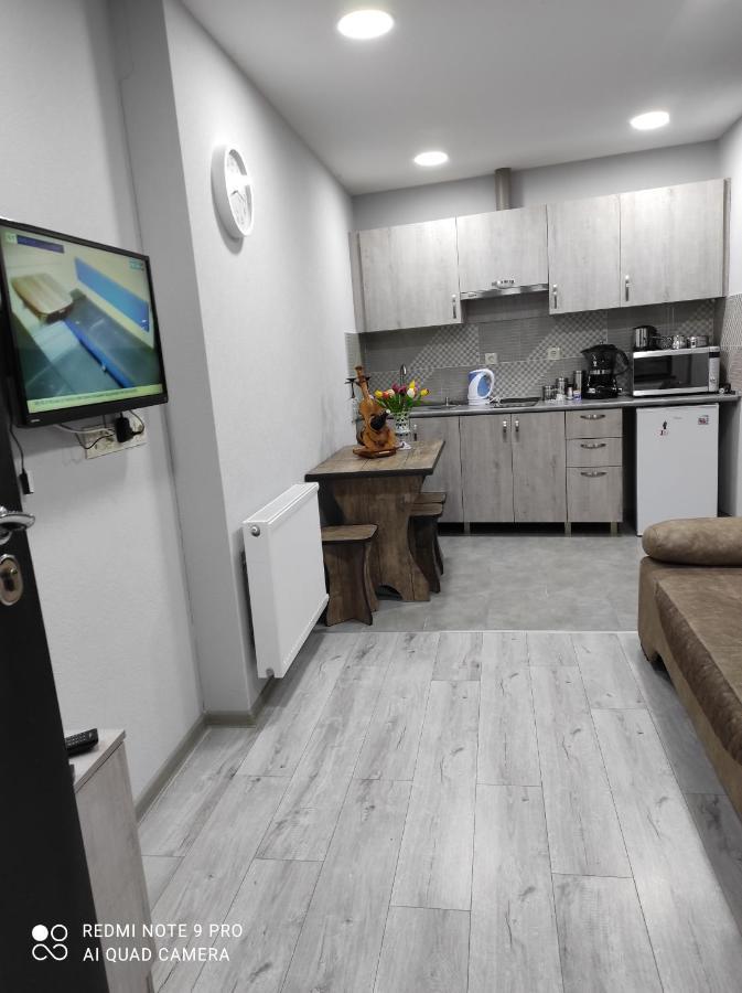 Family Apartament Lejlighed Tbilisi Eksteriør billede