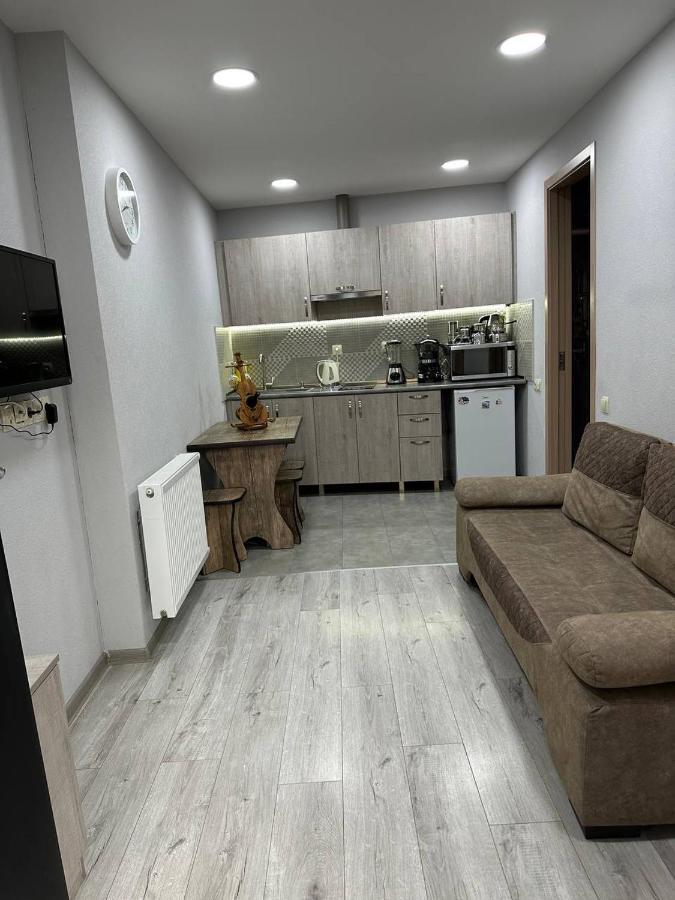 Family Apartament Lejlighed Tbilisi Eksteriør billede